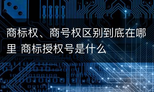 商标权、商号权区别到底在哪里 商标授权号是什么