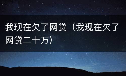 我现在欠了网贷（我现在欠了网贷二十万）