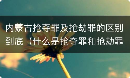 内蒙古抢夺罪及抢劫罪的区别到底（什么是抢夺罪和抢劫罪）