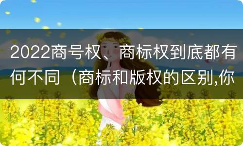 2022商号权、商标权到底都有何不同（商标和版权的区别,你知道多少?）