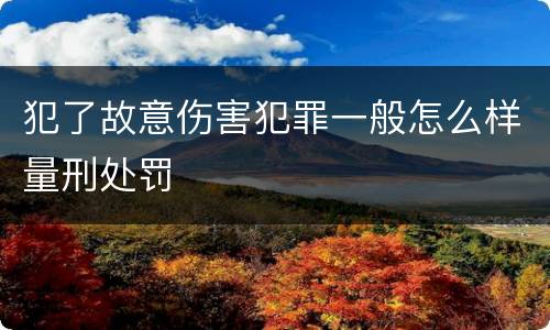 犯了故意伤害犯罪一般怎么样量刑处罚