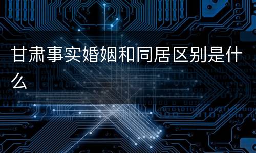 甘肃事实婚姻和同居区别是什么