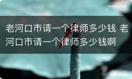 老河口市请一个律师多少钱 老河口市请一个律师多少钱啊