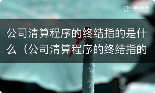 公司清算程序的终结指的是什么（公司清算程序的终结指的是什么内容）