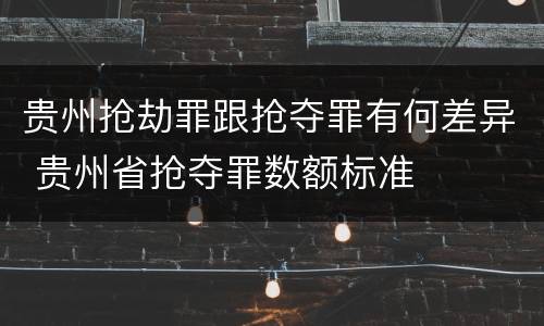 贵州抢劫罪跟抢夺罪有何差异 贵州省抢夺罪数额标准