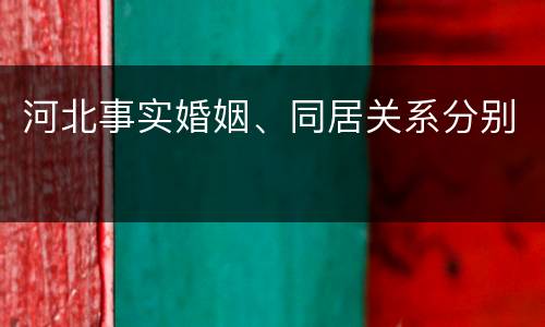 河北事实婚姻、同居关系分别