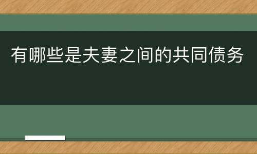 有哪些是夫妻之间的共同债务