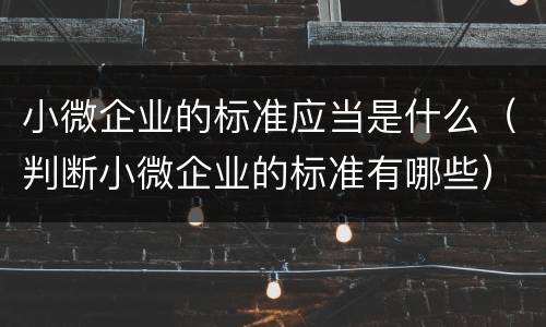 小微企业的标准应当是什么（判断小微企业的标准有哪些）