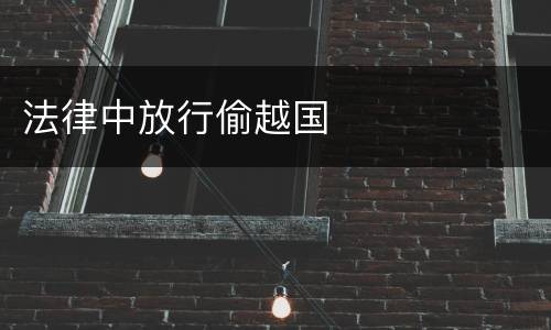 法律中放行偷越国