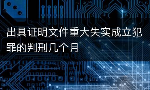 出具证明文件重大失实成立犯罪的判刑几个月