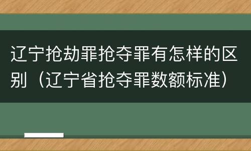 辽宁抢劫罪抢夺罪有怎样的区别（辽宁省抢夺罪数额标准）