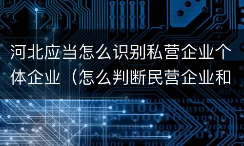 河北应当怎么识别私营企业个体企业（怎么判断民营企业和私营企业）