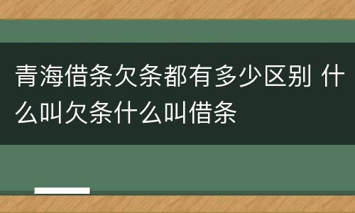 青海借条欠条都有多少区别 什么叫欠条什么叫借条