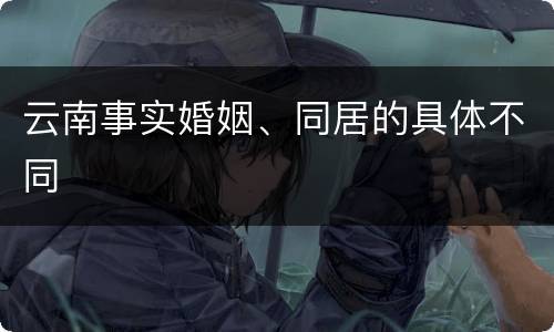 云南事实婚姻、同居的具体不同
