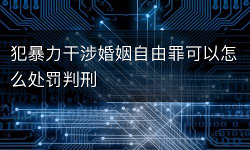 犯暴力干涉婚姻自由罪可以怎么处罚判刑