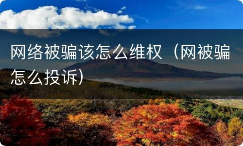 网络被骗该怎么维权（网被骗怎么投诉）