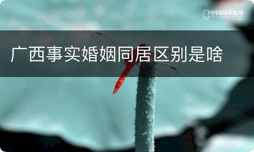 广西事实婚姻同居区别是啥