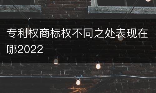 专利权商标权不同之处表现在哪2022
