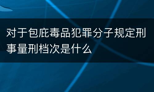 对于包庇毒品犯罪分子规定刑事量刑档次是什么