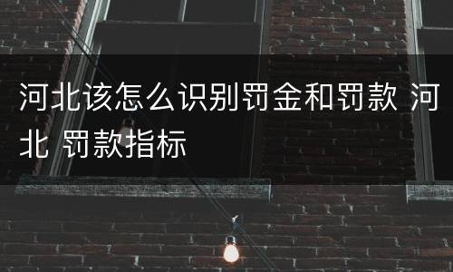 河北该怎么识别罚金和罚款 河北 罚款指标