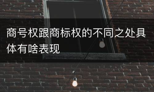 商号权跟商标权的不同之处具体有啥表现