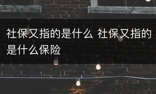 社保又指的是什么 社保又指的是什么保险