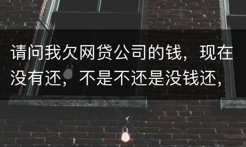请问我欠网贷公司的钱，现在没有还，不是不还是没钱还，
