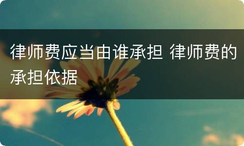 律师费应当由谁承担 律师费的承担依据