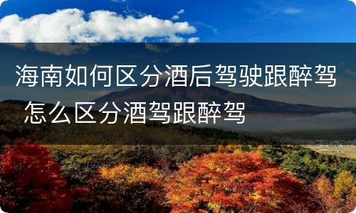 海南如何区分酒后驾驶跟醉驾 怎么区分酒驾跟醉驾