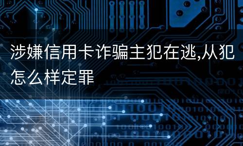 涉嫌信用卡诈骗主犯在逃,从犯怎么样定罪