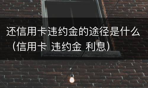 还信用卡违约金的途径是什么（信用卡 违约金 利息）