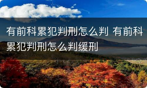 有前科累犯判刑怎么判 有前科累犯判刑怎么判缓刑