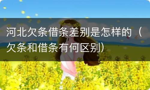 河北欠条借条差别是怎样的（欠条和借条有何区别）