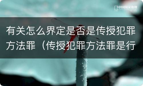 有关怎么界定是否是传授犯罪方法罪（传授犯罪方法罪是行为犯吗）