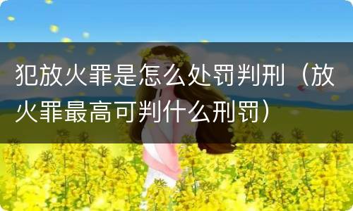 犯放火罪是怎么处罚判刑（放火罪最高可判什么刑罚）