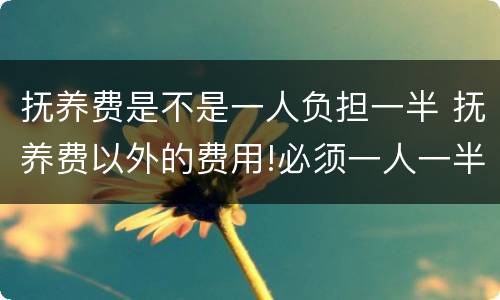 抚养费是不是一人负担一半 抚养费以外的费用!必须一人一半吗