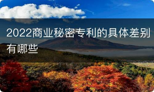 2022商业秘密专利的具体差别有哪些