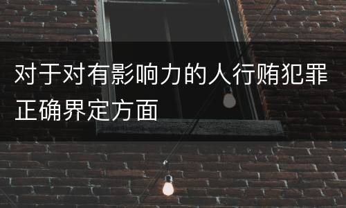 对于对有影响力的人行贿犯罪正确界定方面