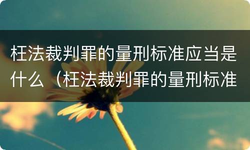 枉法裁判罪的量刑标准应当是什么（枉法裁判罪的量刑标准应当是什么意思）