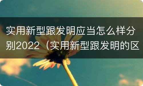实用新型跟发明应当怎么样分别2022（实用新型跟发明的区别）