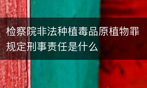 检察院非法种植毒品原植物罪规定刑事责任是什么
