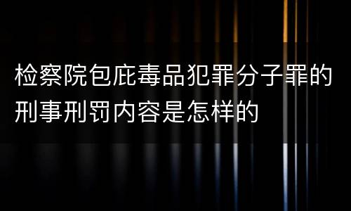检察院包庇毒品犯罪分子罪的刑事刑罚内容是怎样的