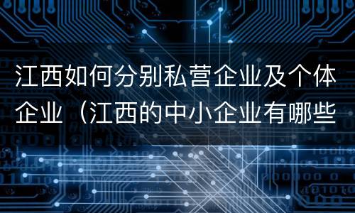 江西如何分别私营企业及个体企业（江西的中小企业有哪些）