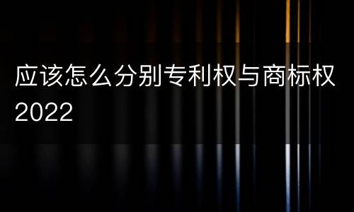 应该怎么分别专利权与商标权2022