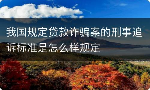 我国规定贷款诈骗案的刑事追诉标准是怎么样规定