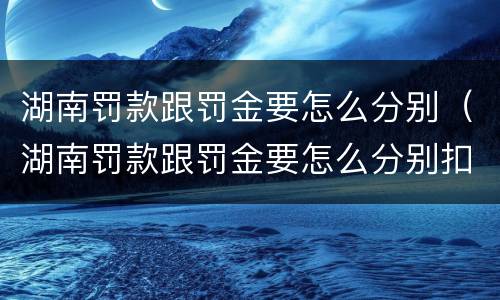 湖南罚款跟罚金要怎么分别（湖南罚款跟罚金要怎么分别扣）
