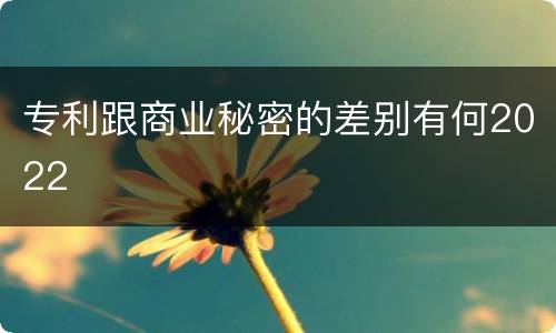 专利跟商业秘密的差别有何2022