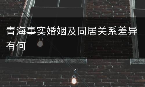 青海事实婚姻及同居关系差异有何