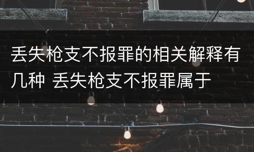 丢失枪支不报罪的相关解释有几种 丢失枪支不报罪属于
