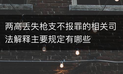 两高丢失枪支不报罪的相关司法解释主要规定有哪些